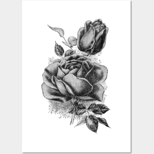 Black Rose Flower Ink Drawing Posters and Art